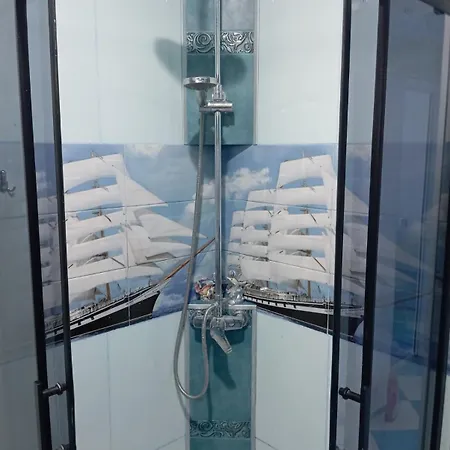 Albatros بورغاس