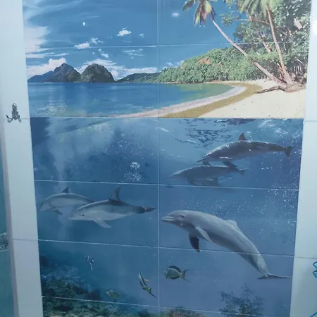 Albatros Daire Burgaz